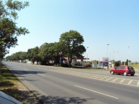 Szeged ingatlanok